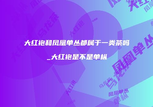 大红袍和凤凰单丛都属于一类茶吗_大红袍是不是单枞