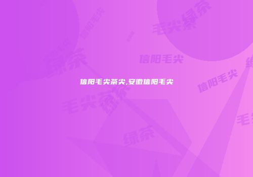 信阳毛尖茶尖,安徽信阳毛尖