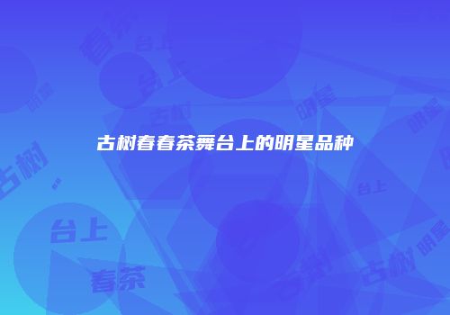 古树春春茶舞台上的明星品种