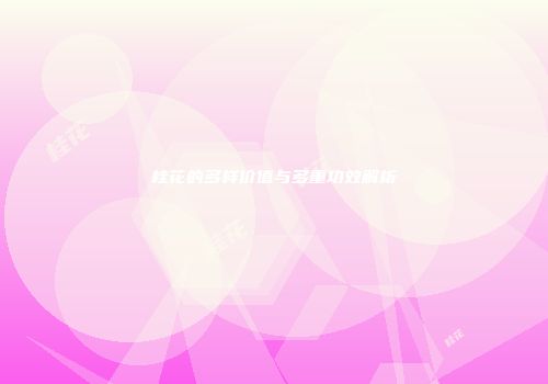 桂花的多样价值与多重功效解析