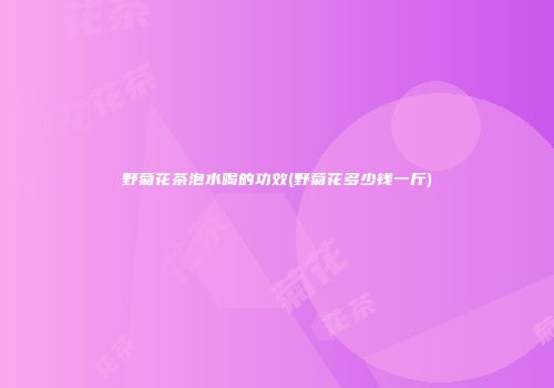 野菊花茶泡水喝的功效(野菊花多少钱一斤)