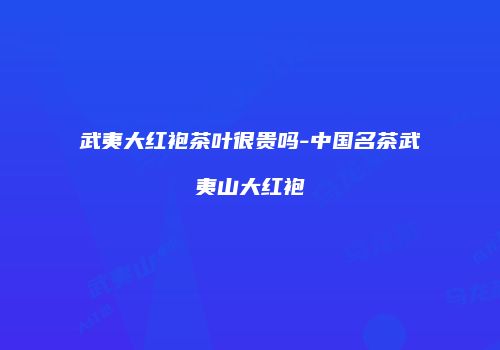武夷大红袍茶叶很贵吗-中国名茶武夷山大红袍
