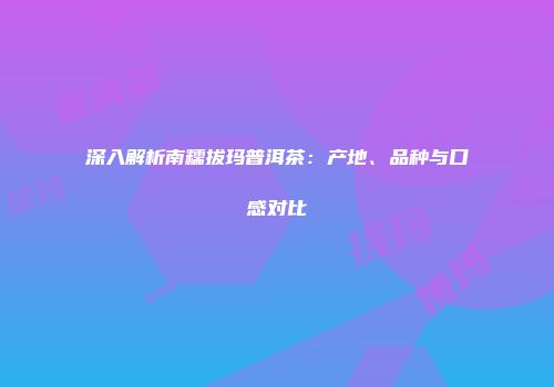 深入解析南糯拔玛普洱茶：产地、品种与口感对比