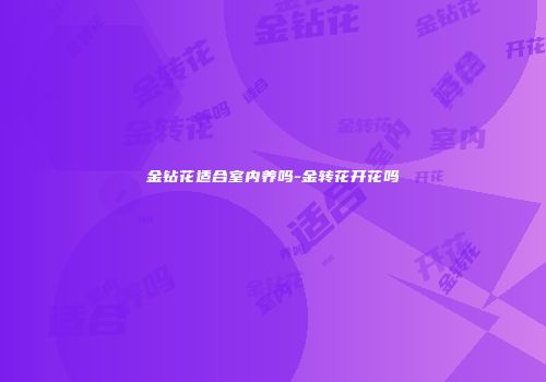 金钻花适合室内养吗-金转花开花吗