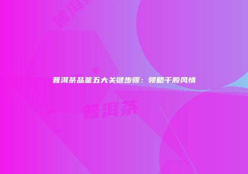 普洱茶品鉴五大关键步骤：领略千般风情