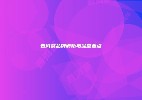 普洱茶品牌解析与品鉴要点