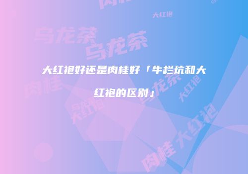 大红袍好还是肉桂好「牛栏坑和大红袍的区别」