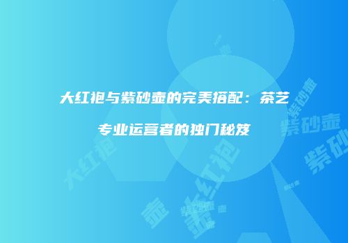 大红袍与紫砂壶的完美搭配：茶艺专业运营者的独门秘笈