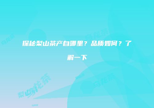 探秘梨山茶产自哪里？品质如何？了解一下