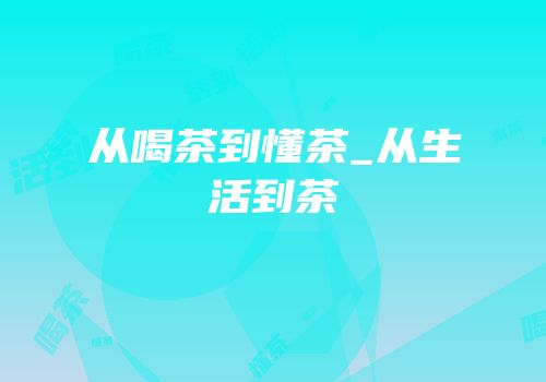 从喝茶到懂茶_从生活到茶