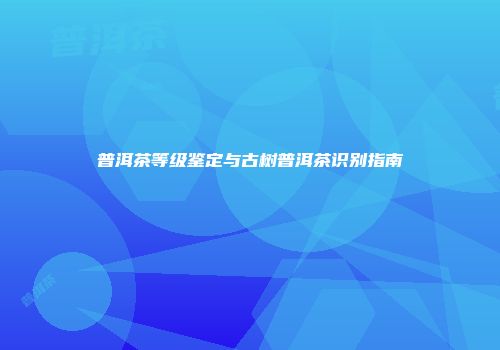 普洱茶等级鉴定与古树普洱茶识别指南