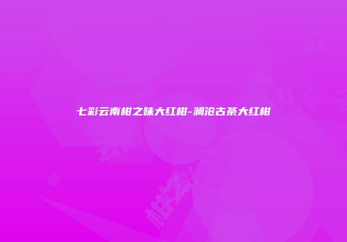七彩云南柑之味大红柑-澜沧古茶大红柑