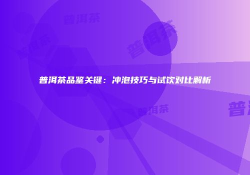 普洱茶品鉴关键：冲泡技巧与试饮对比解析
