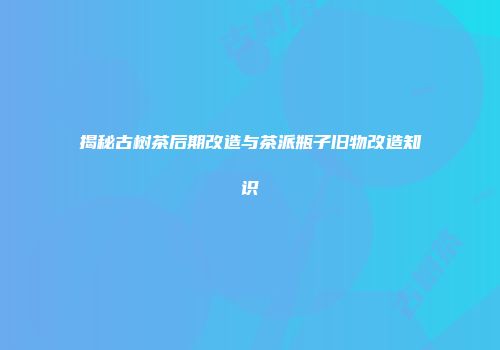 揭秘古树茶后期改造与茶派瓶子旧物改造知识