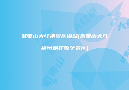 武夷山大红袍景区讲解(武夷山大红袍母树在哪个景区)