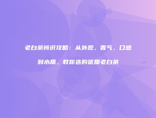 老白茶辨识攻略：从外观、香气、口感到水质，教你选购优质老白茶