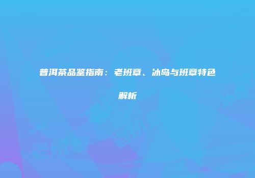 普洱茶品鉴指南：老班章、冰岛与班章特色解析