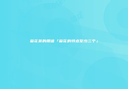 菊花茶的用途「菊花的特点至少三个」