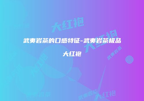 武夷岩茶的口感特征-武夷岩茶极品大红袍