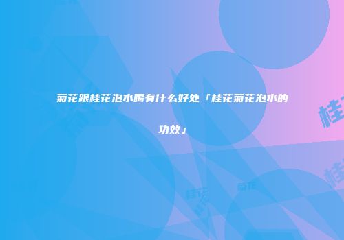 菊花跟桂花泡水喝有什么好处「桂花菊花泡水的功效」