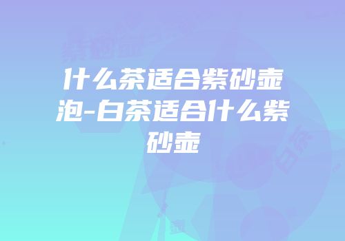 什么茶适合紫砂壶泡-白茶适合什么紫砂壶