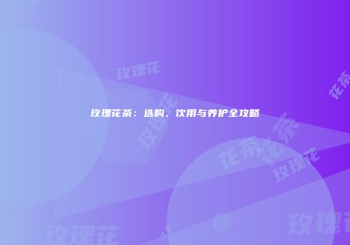 玫瑰花茶：选购、饮用与养护全攻略