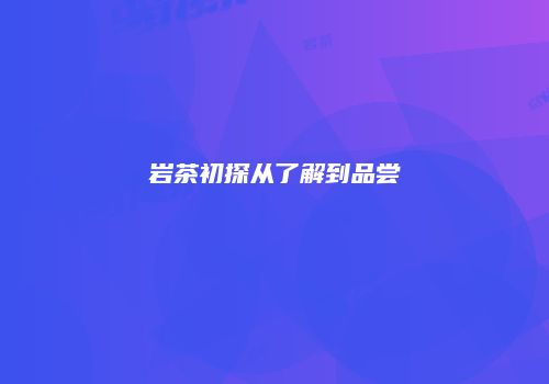岩茶初探从了解到品尝
