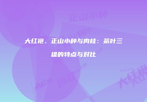 大红袍、正山小种与肉桂：茶叶三雄的特点与对比