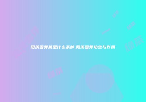 阳羡雪芽茶是什么茶种,阳羡雪芽功效与作用