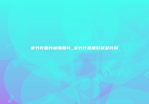 淡竹叶图片植物图片_淡竹叶是根好还是叶好