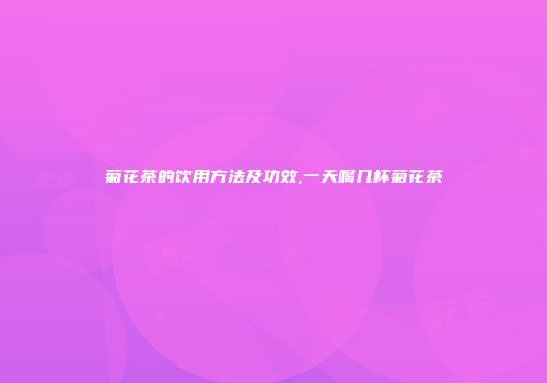 菊花茶的饮用方法及功效,一天喝几杯菊花茶