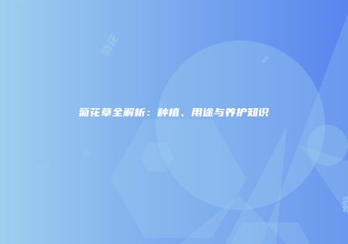 菊花草全解析：种植、用途与养护知识