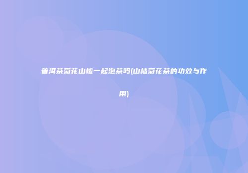普洱茶菊花山楂一起泡茶吗(山楂菊花茶的功效与作用)