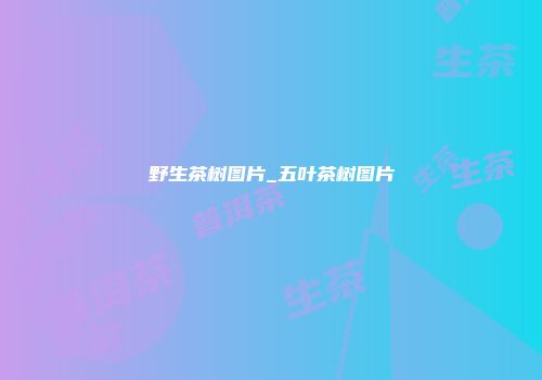 野生茶树图片_五叶茶树图片