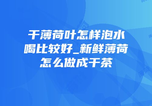 干薄荷叶怎样泡水喝比较好_新鲜薄荷怎么做成干茶