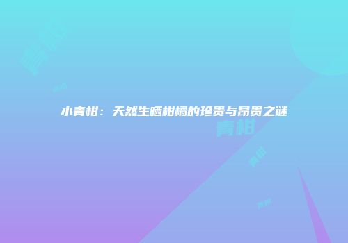 小青柑：天然生晒柑橘的珍贵与昂贵之谜