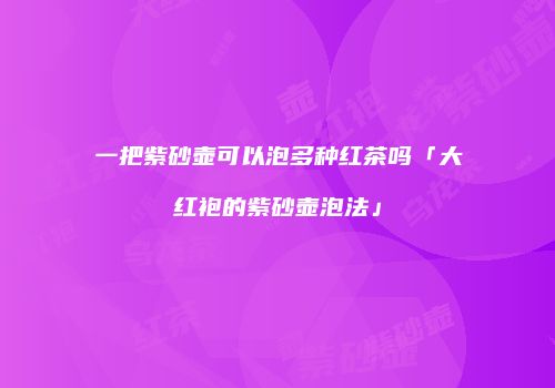 一把紫砂壶可以泡多种红茶吗「大红袍的紫砂壶泡法」