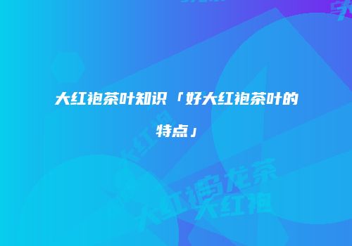 大红袍茶叶知识「好大红袍茶叶的特点」