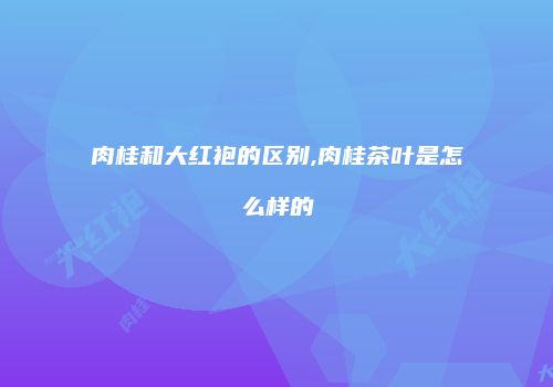 肉桂和大红袍的区别,肉桂茶叶是怎么样的