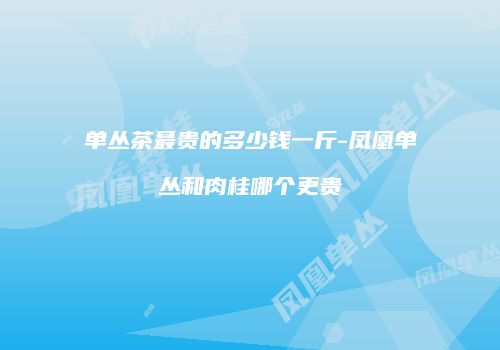 单丛茶最贵的多少钱一斤-凤凰单丛和肉桂哪个更贵