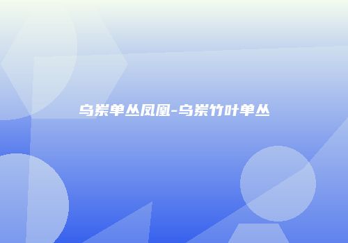 乌岽单丛凤凰-乌岽竹叶单丛