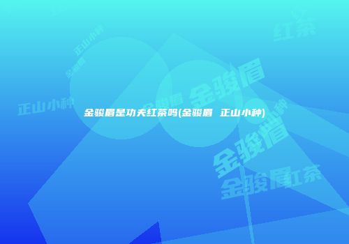 金骏眉是功夫红茶吗(金骏眉 正山小种)