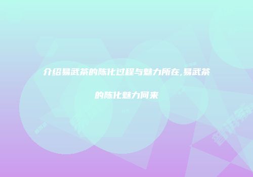 介绍易武茶的陈化过程与魅力所在,易武茶的陈化魅力何来