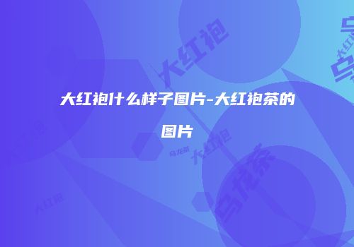 大红袍什么样子图片-大红袍茶的图片