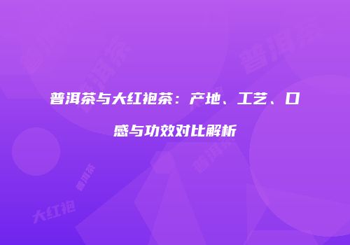 普洱茶与大红袍茶：产地、工艺、口感与功效对比解析