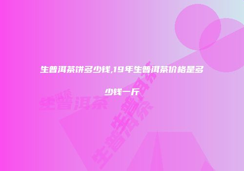 生普洱茶饼多少钱,19年生普洱茶价格是多少钱一斤