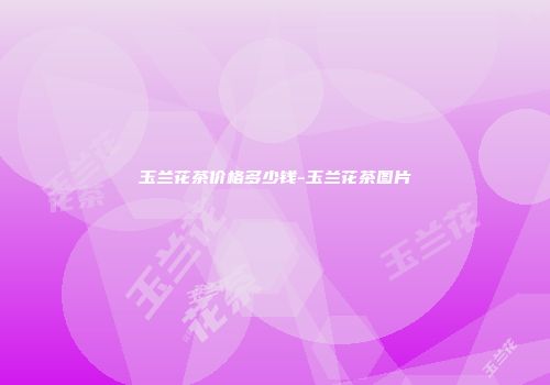 玉兰花茶价格多少钱-玉兰花茶图片