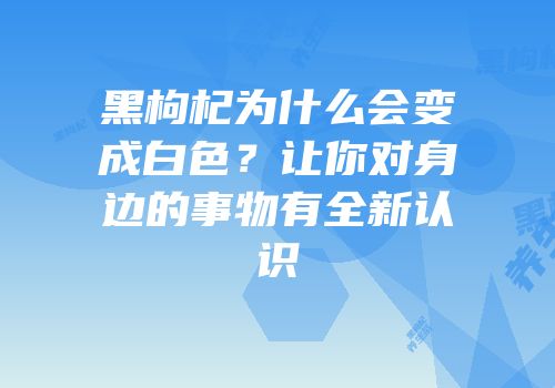 黑枸杞为什么会变成白色？让你对身边的事物有全新认识