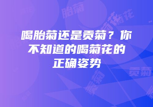 喝胎菊还是贡菊？你不知道的喝菊花的正确姿势