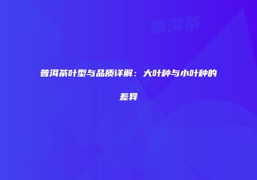 普洱茶叶型与品质详解：大叶种与小叶种的差异